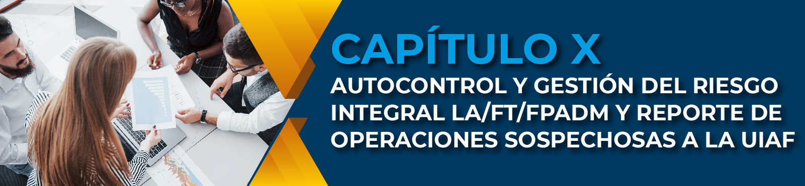 Capítulo X Autocontrol Y Gestión Del Riesgo Integral La/Ft/Fpadm Y Reporte De Operaciones Sospechosas A La Uiaf 