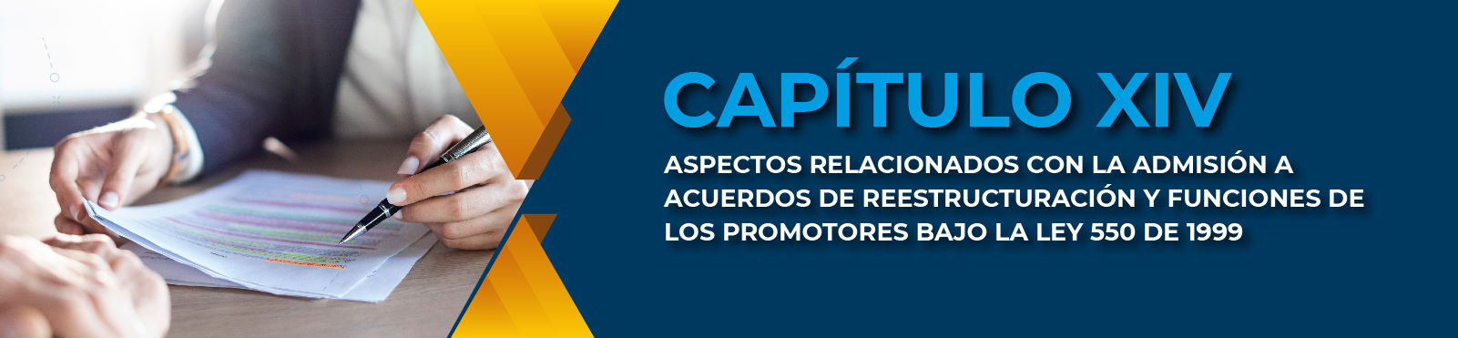 Capítulo XIV Aspectos Relacionados Con La Admisión A Acuerdos De Reestructuración Y Funciones De Los Promotores Bajo La Ley 550 De 1999 