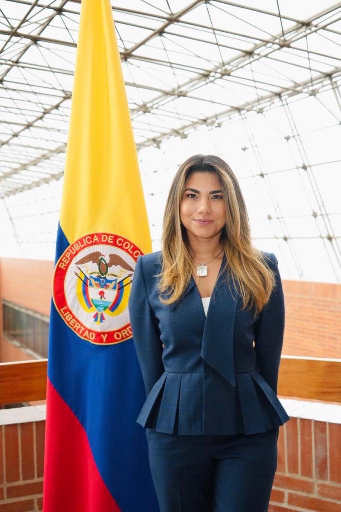 Nini Johanna Castañeda Quintero, Superintendente de Sociedades (E)