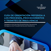 GUÍA DE ORIENTACIÓN REFERIDA A LOS PROCESOS, PROCEDIMIENTOS Y TRÁMITES DE INSOLVENCIA