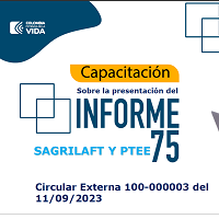Presentación Capacitación Informe 75